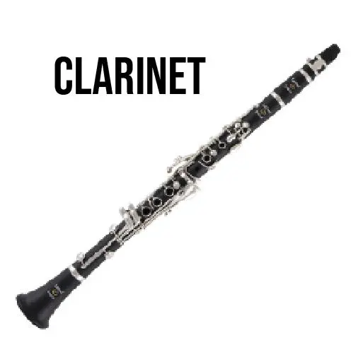 A clarinet is shown with the word " clarinet ".