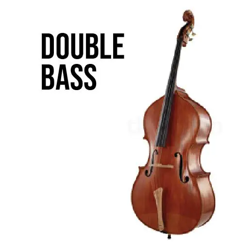 A double bass is sitting on the floor.