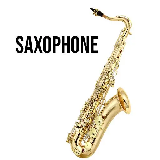 A saxophone is shown with the word " saxophone ".