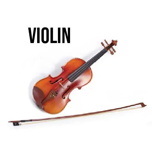 A violin and its bow on a white background