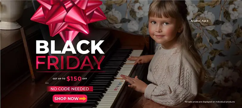 Black Friday Sale 2025