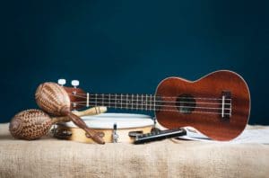 Musical Instruments for Folk Music